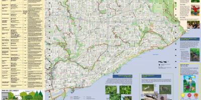 Mapa parke eta oinez ibilbide Ekialdean Toronto