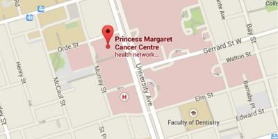 Mapa Princess Margaret Minbizia Zentroa Toronto